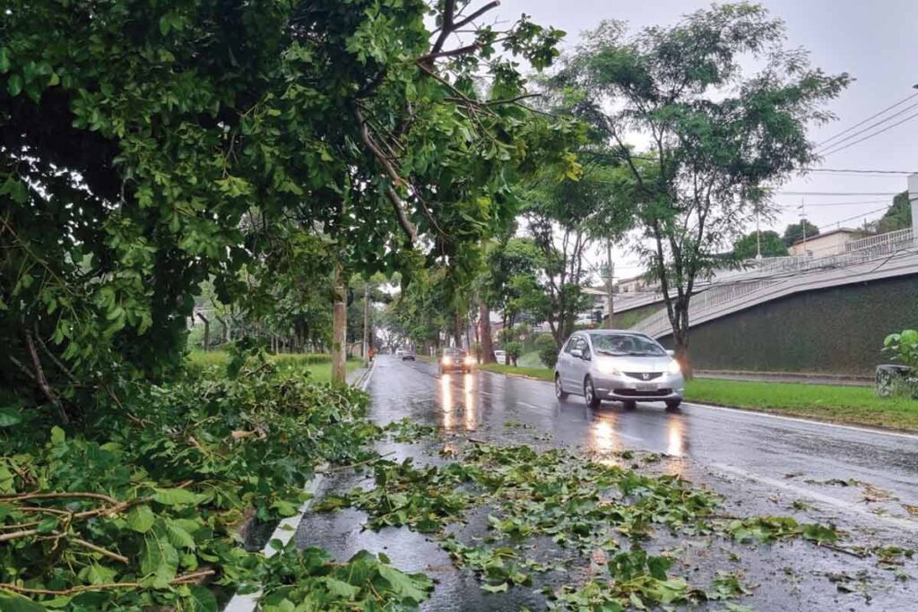 Fortes chuvas causam estragos em Juiz de Fora