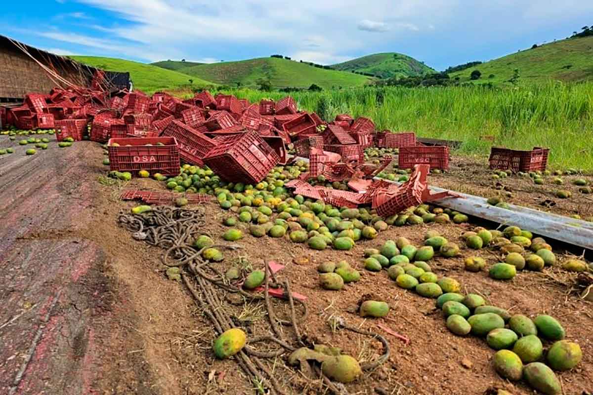 Caminhão com manga tomba e espalha carga pela BR 116