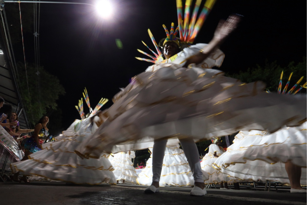 carnaval 2024 - leonardo costa (1)