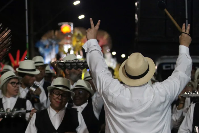 carnaval liga da escolas de samba de juiz de fora