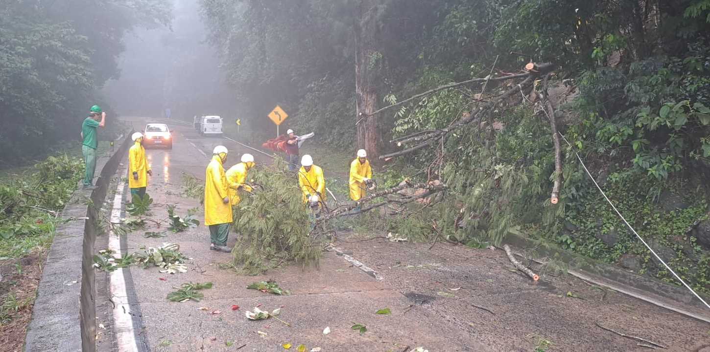 subida serra de petropolis concer 5