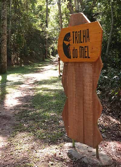 Jardim Botânico inaugura meliponário de abelhas nativas e orquidário