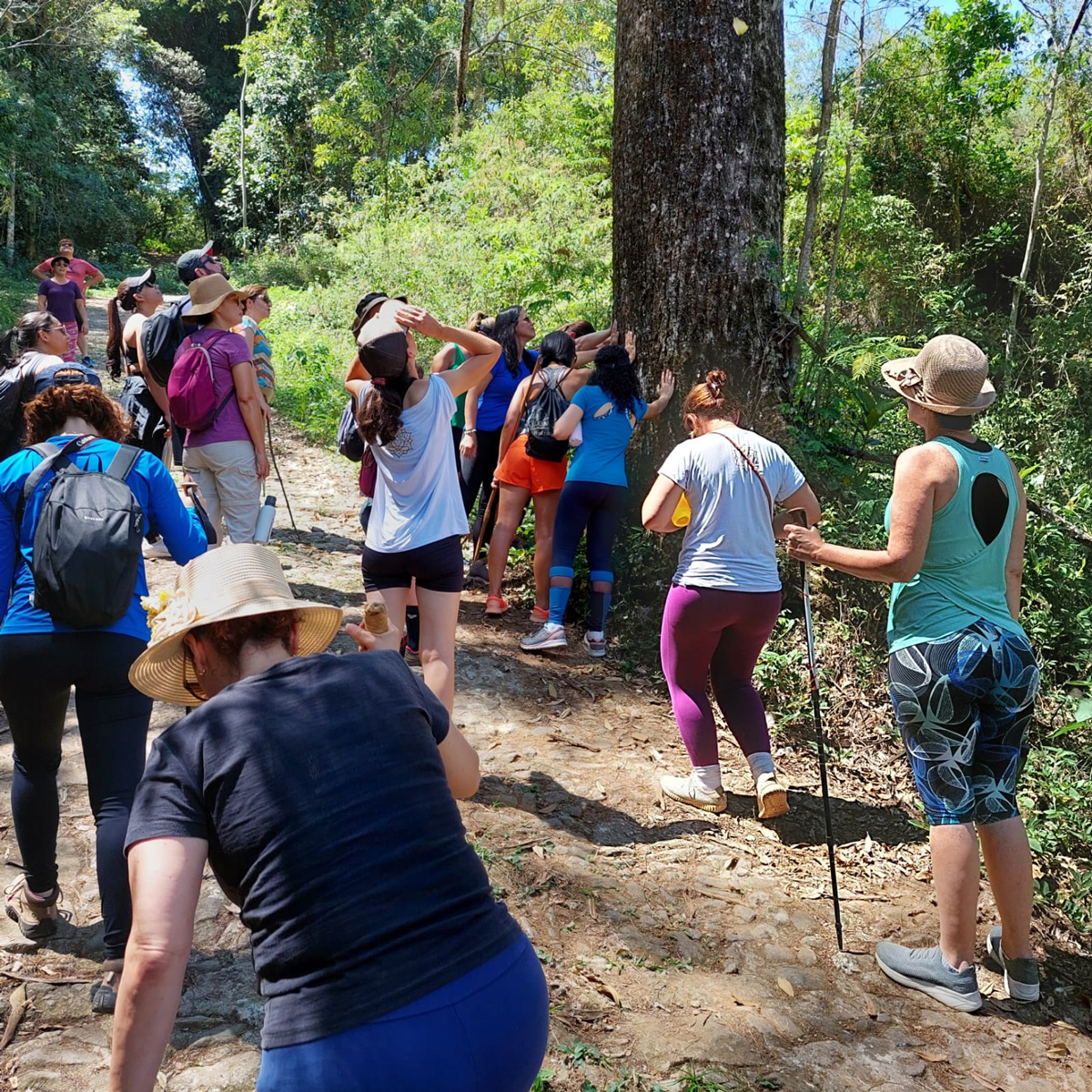 Fazenda Serra Boa Vista