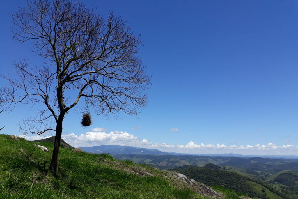 Fazenda Serra Boa Vista