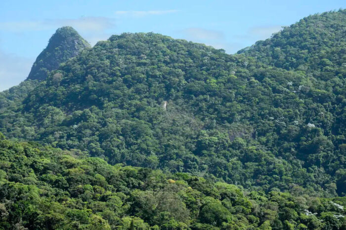 mudanças climáticas afetam biodiversidade