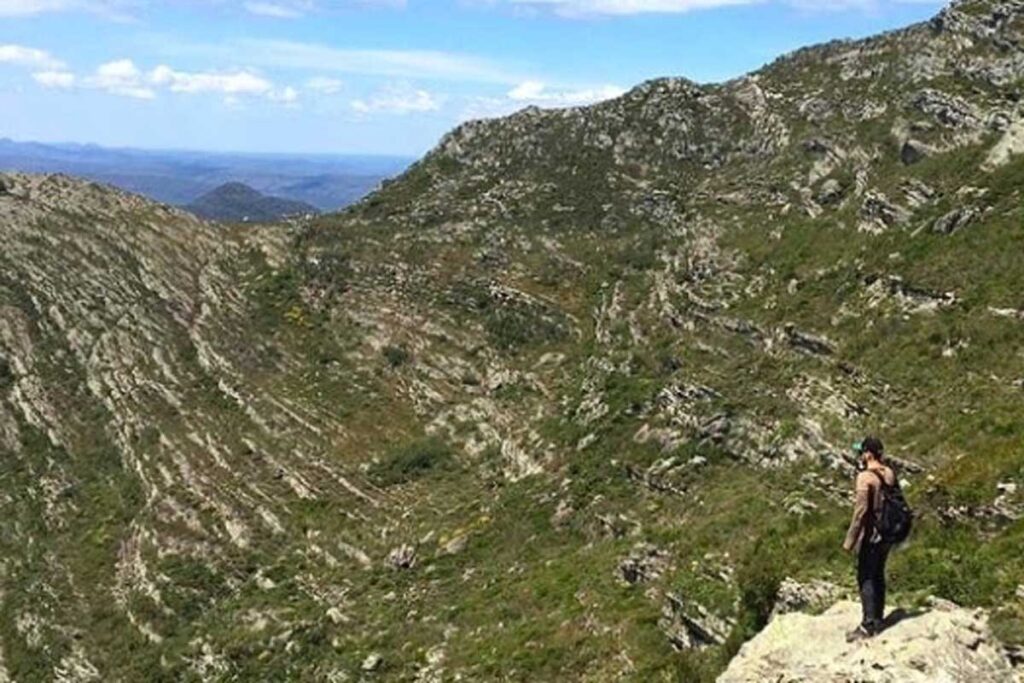 Duas novas espécies de plantas são descobertas em serra mineira