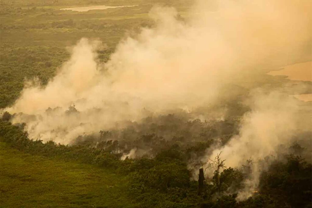 Incêndio se alastra no Pantanal durante festa de São João