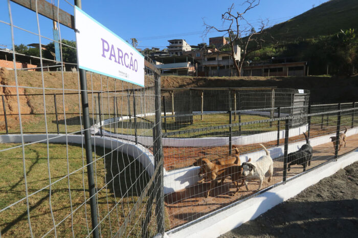 parcão canil municipal