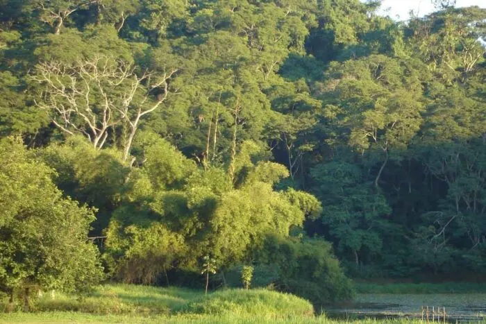 horto florestal leopoldina reproducao turismo em MG