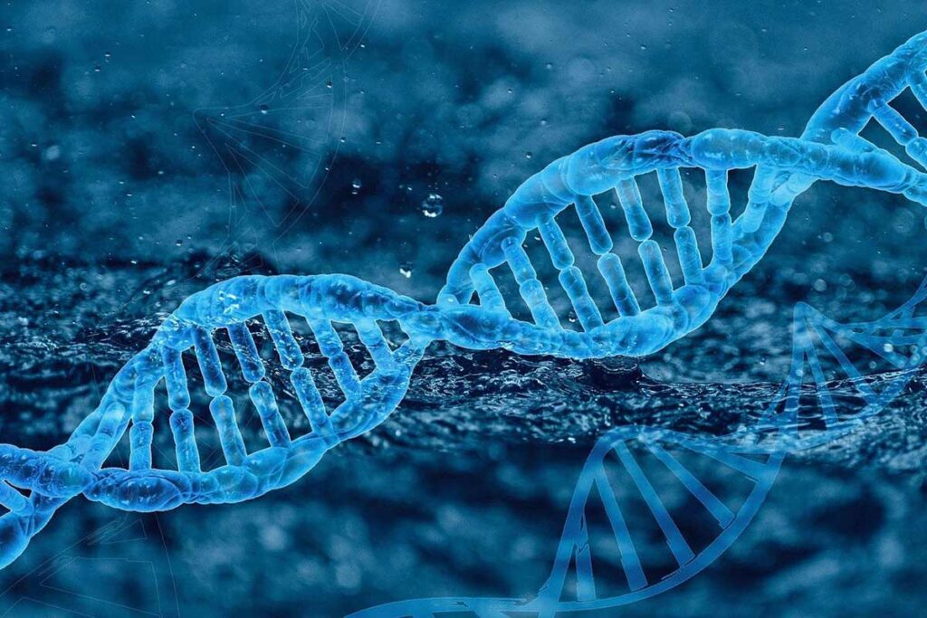 DNA cromossomos celula genetica Pixabay