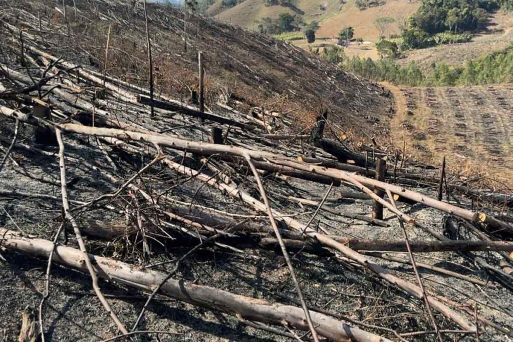 incendio em Cipotanea 4 divulgacao policia militar do meio ambiente