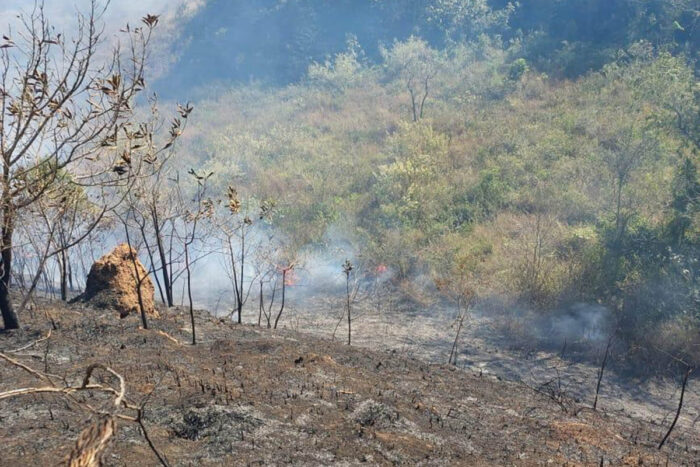 Incêndio próximo à Mata do Krambeck é encerrado