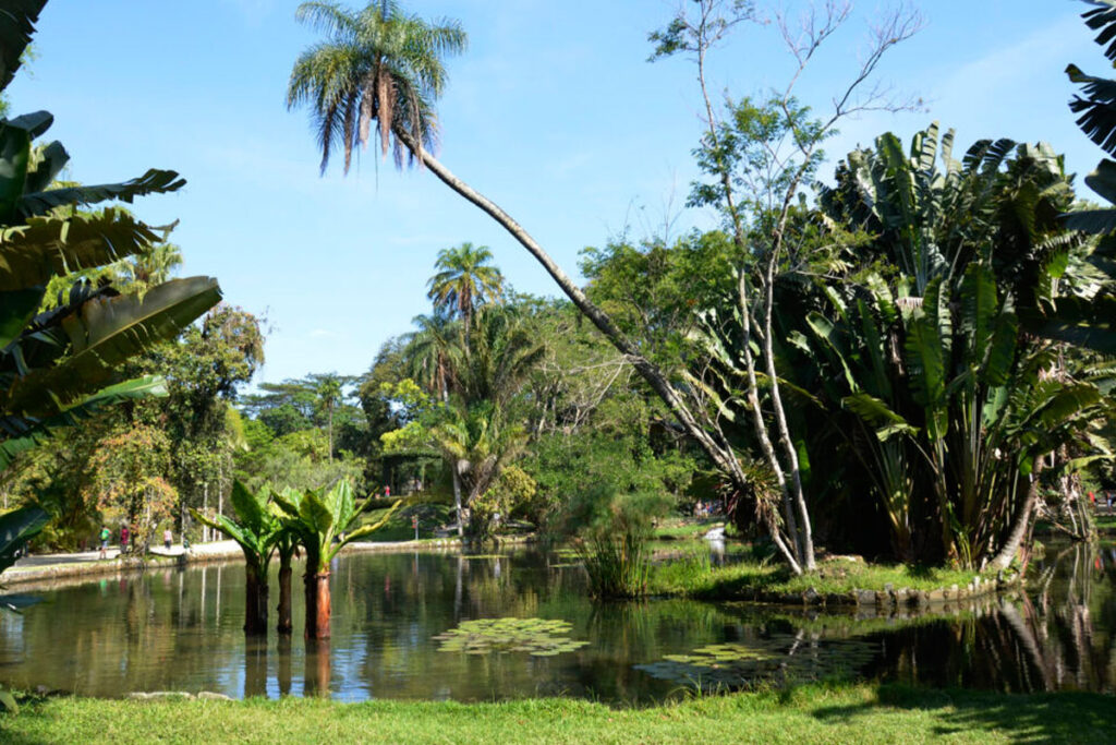 jardim botanico rio de janeiro