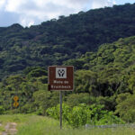 mata queima