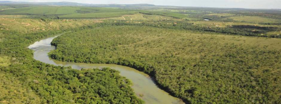 reparacao brumadinho Bacia do Paraopeba foto sisema divulgacao