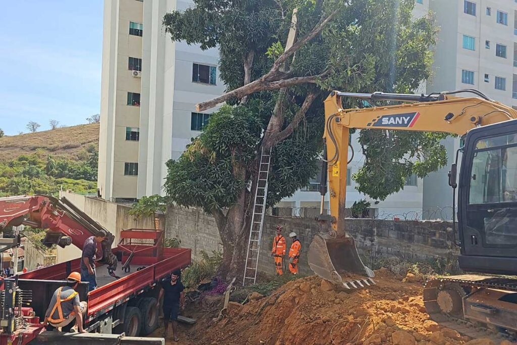 homem morre ao cortar árvore