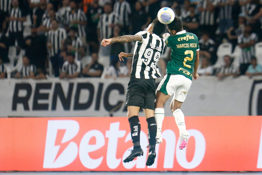 Botafogo x Palmeiras transamérica