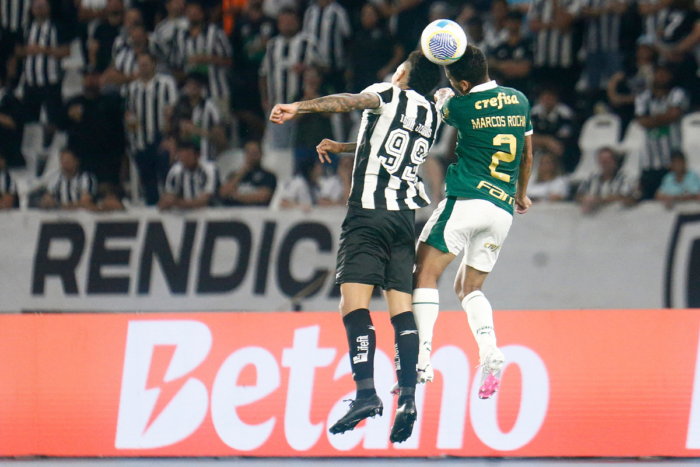 Botafogo x Palmeiras