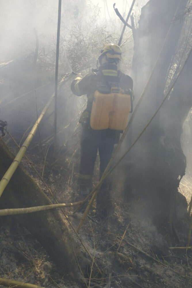 Focos de incêndio no Morro do Cristo são controlados, mas monitoramento continua - fogo