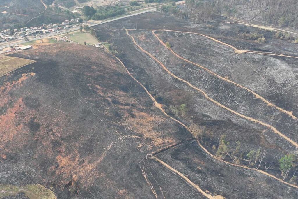 Dupla é autuada em mais de R$ 1 milhão por incêndio em área equivalente a quase 200 campos de futebol