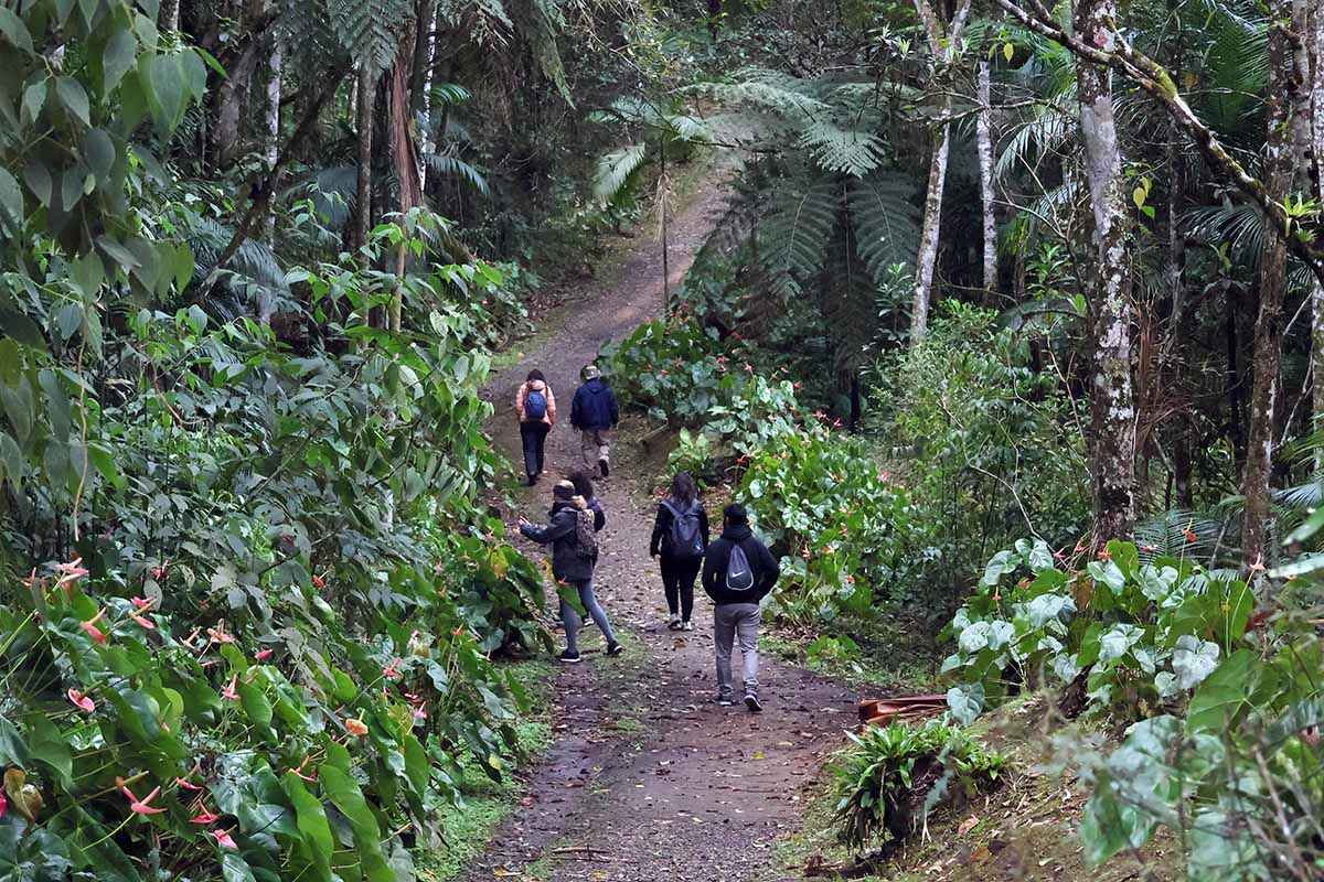 Parque Nacional do Itatiaia - Leonardo Costa (8)