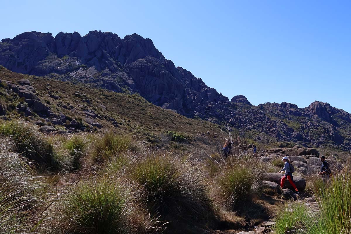 Parque Nacional do Itatiaia - Leonardo Costa (9)