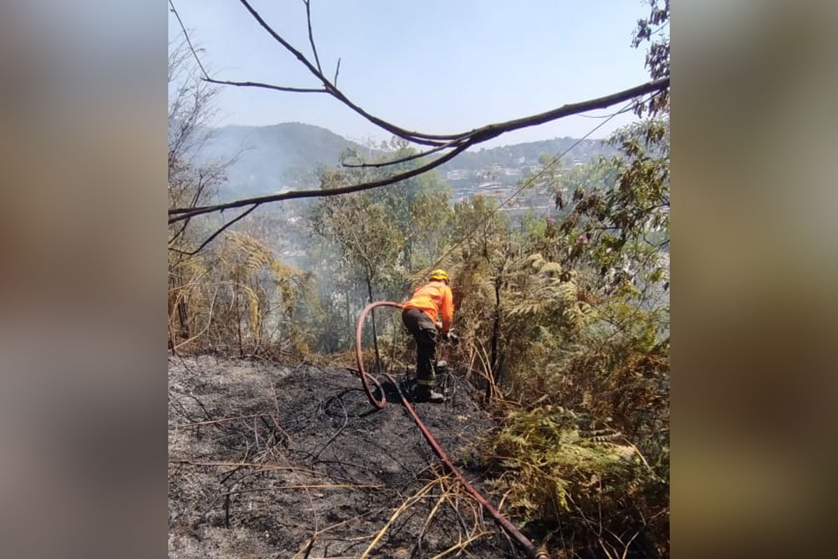 Fogo atinge o bairro Centenário