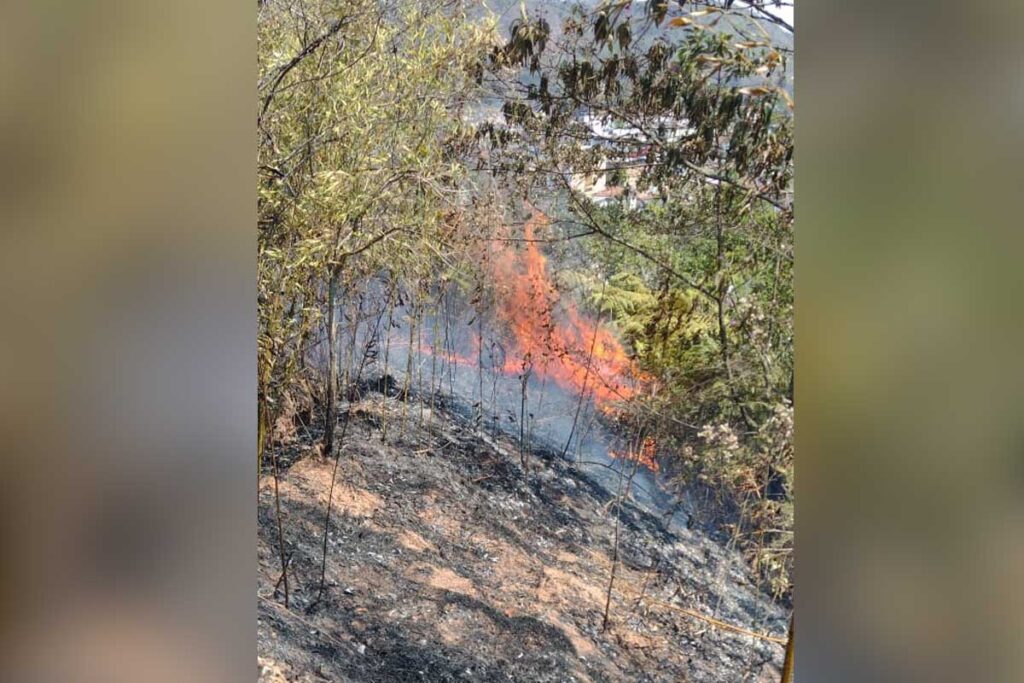 Bombeiros voltam a atuar contra incêndios em Juiz de Fora