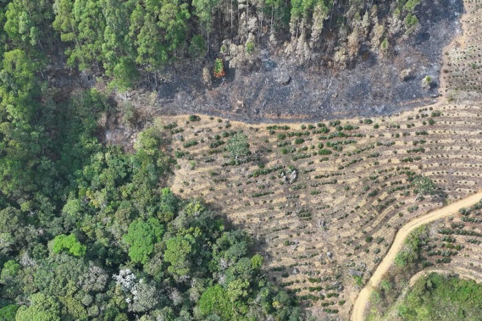 Homem é multado por provocar incêndio em área de mais de 820 mil metros quadrados