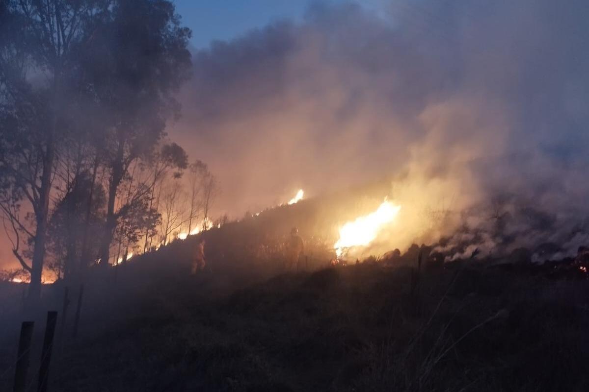 Número de incêndios em 2024 já supera em quase 60% o total do ano anterior