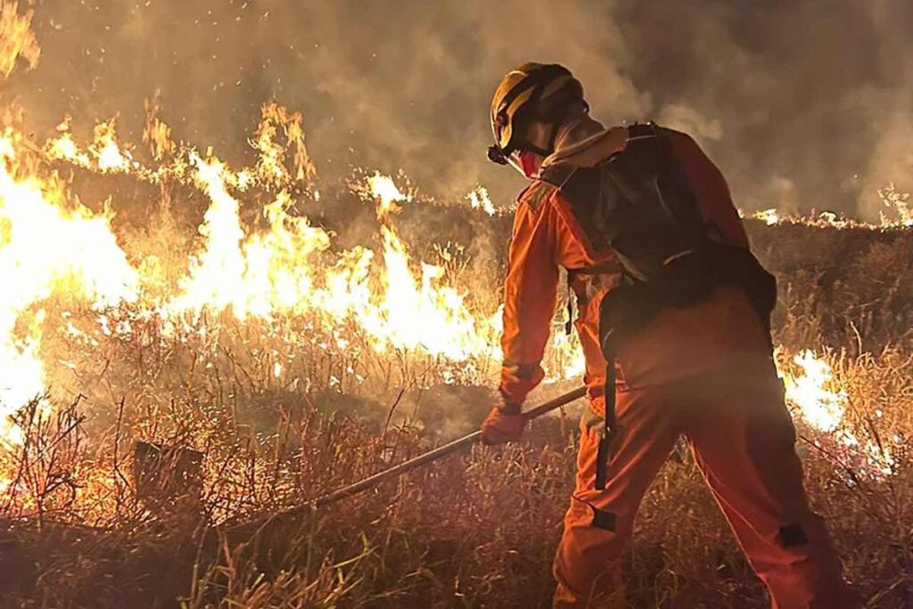 incendio pedra do anta divulgacao corpo de bombeiros