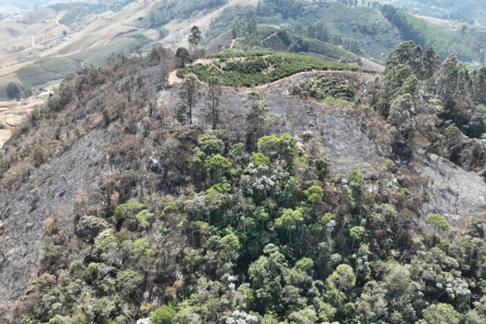 Incêndio criminoso atinge cerca de 550 mil metros quadrados de floresta em Vieiras