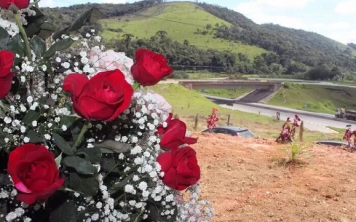 Produtores de flores comemoram safra em Minas