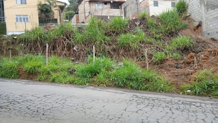 Terreno abandonado no Parque Independencia coloca seguranca em risco