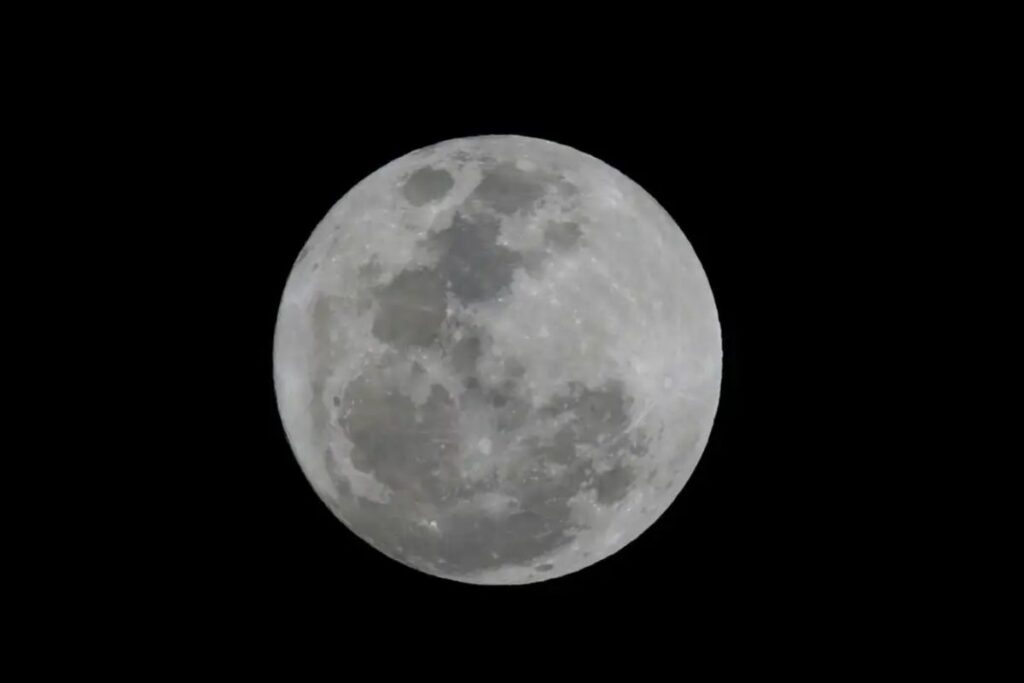 'Lua do veado': entenda o nome e saiba qual melhor horário para observar nesta quinta 1 superlua