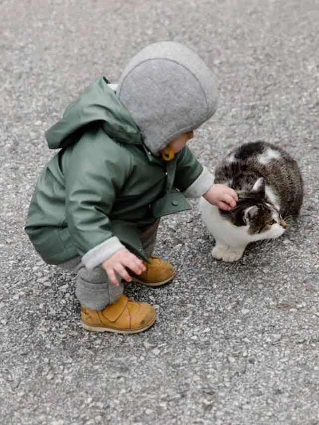 8 dicas para uma boa convivência entre gatos e crianças