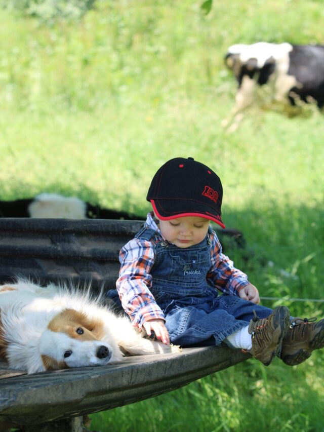 8 dicas para uma boa convivência entre cachorros e crianças