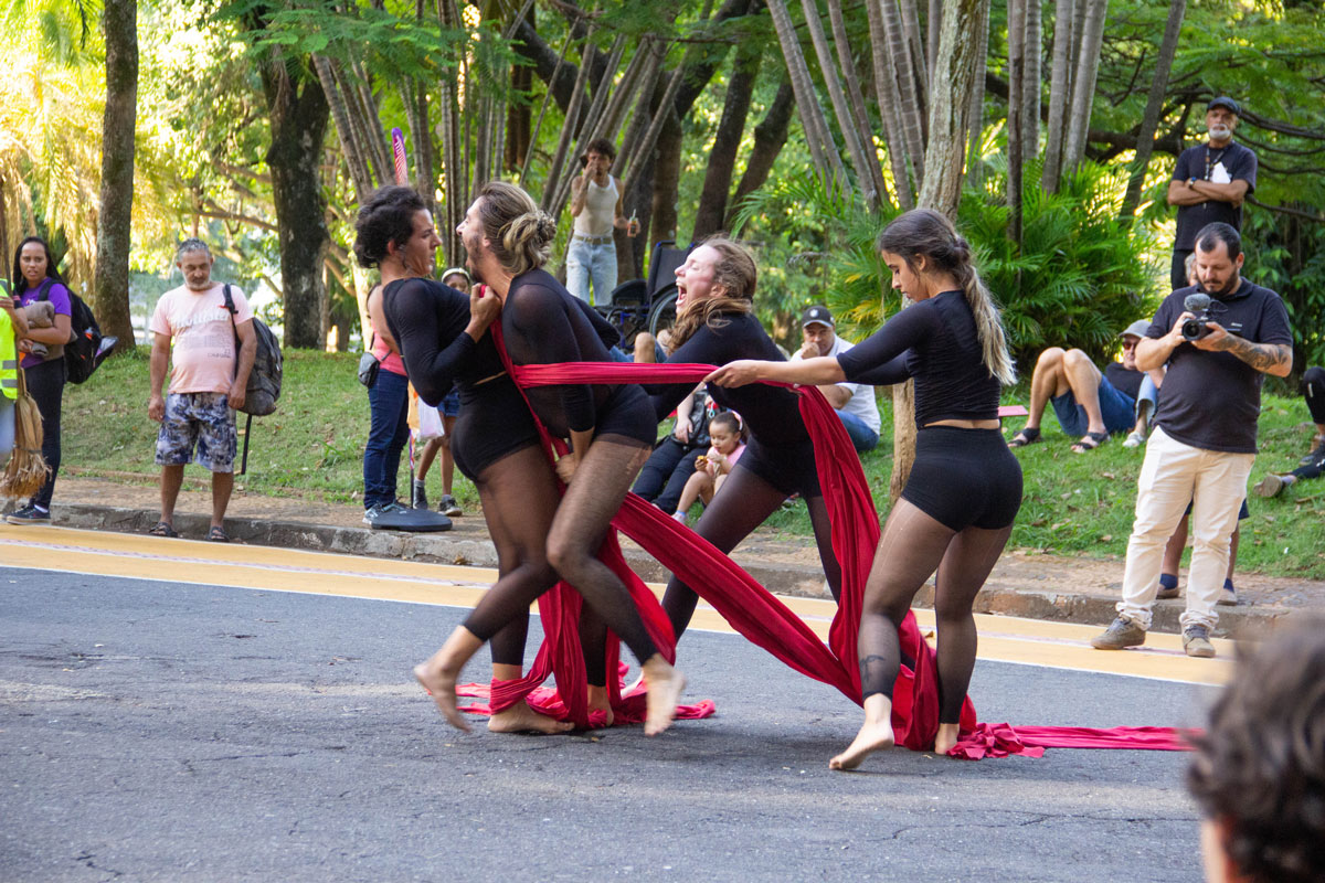 Mostra da Diversidade Cultural em Juiz de Fora