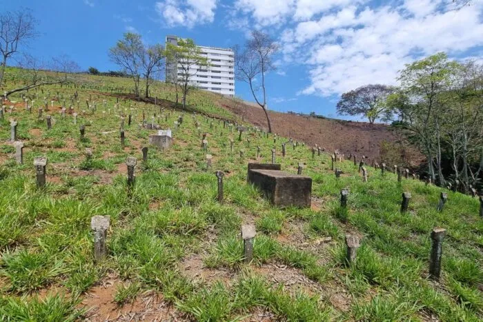 site CEMITERIO MUNICIPAL DE JUIZ DE FORA FOTO LEONARDO COSTA 1 1