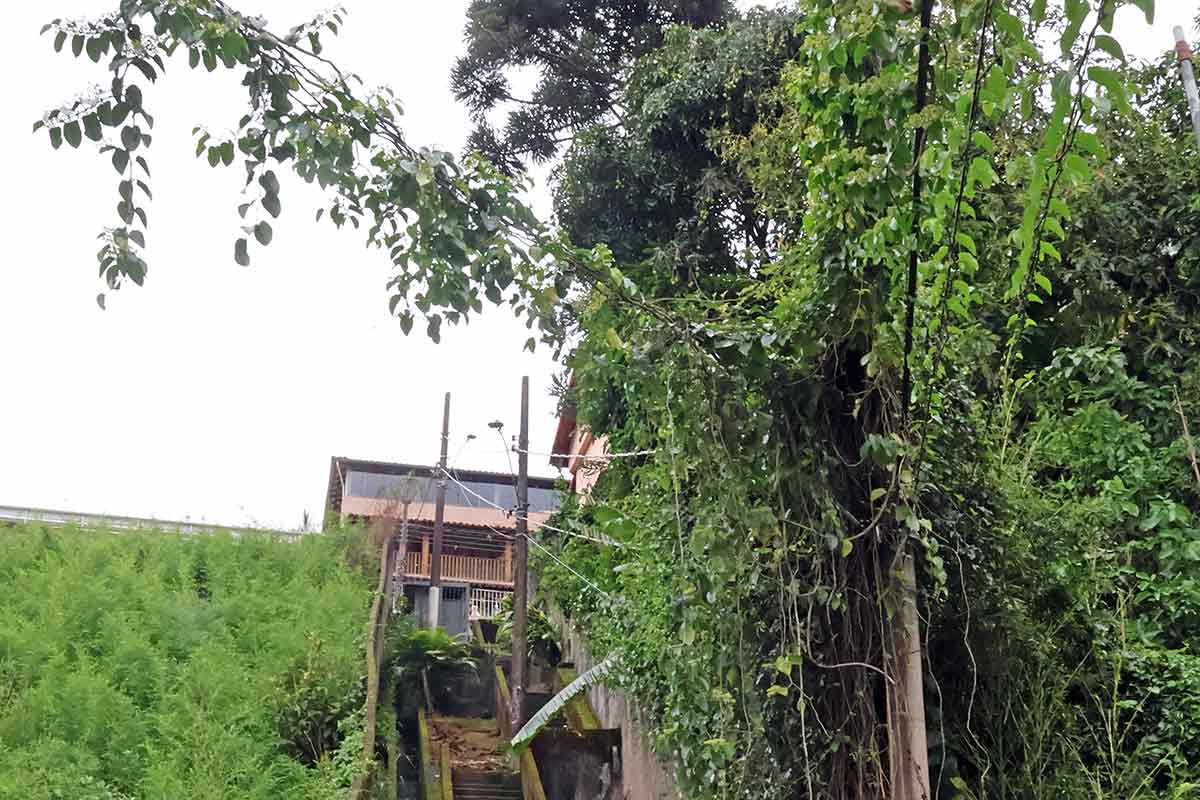 VU VEGETACAO POSTE TRAVESSA BOSQUE DO BAIRU LEONARDO COSTA