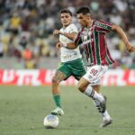 fluminense palmeiras by lucas mercon flu editada