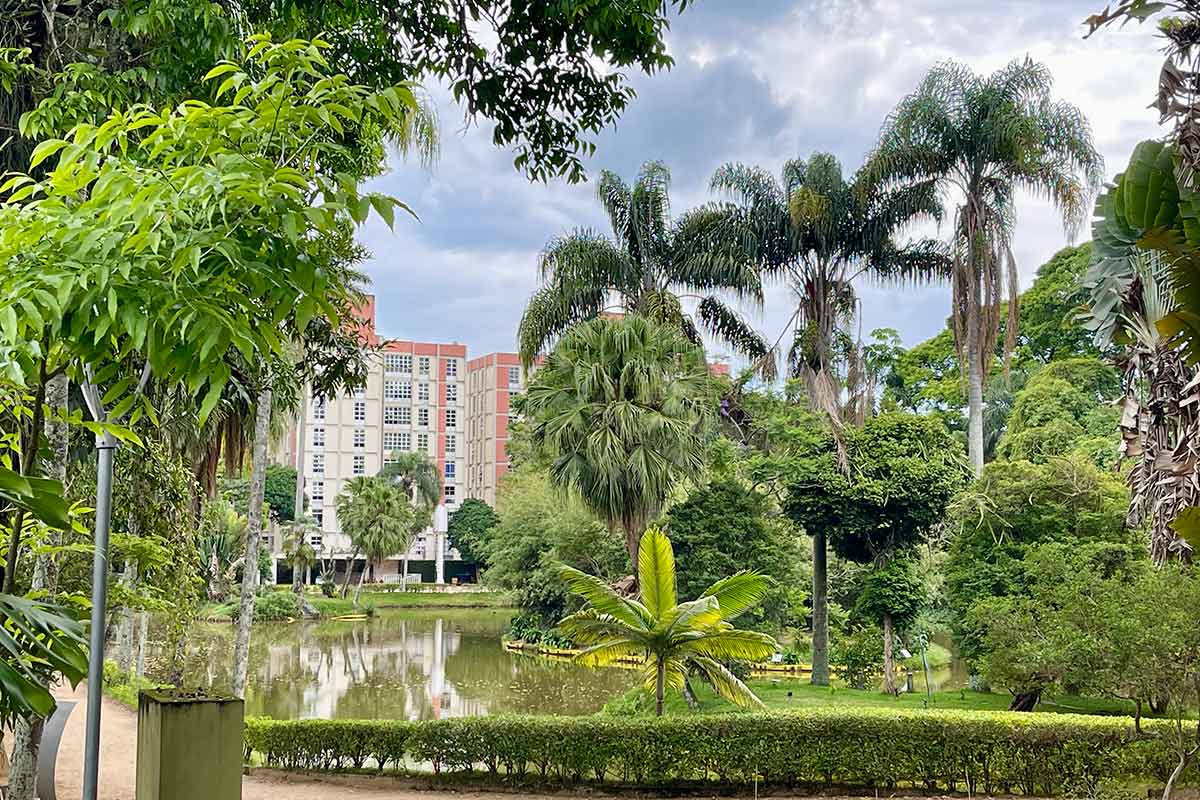 lago do Museu Felipe Couri