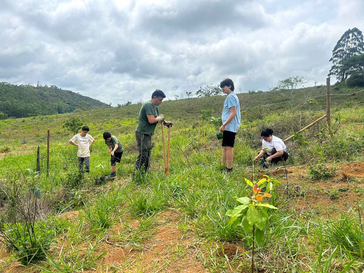 hobbies voluntariado ambiental