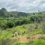 chacara voluntariado ambiental