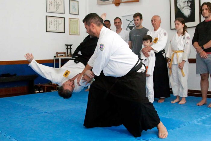 Aikido 2