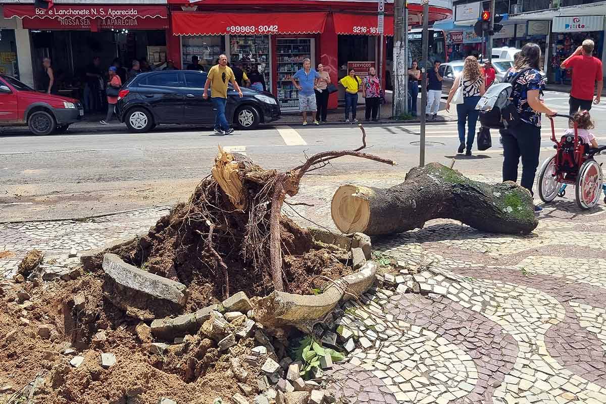 CHUVA---SÃO-SEBASTIÃO-COM-GETULIO-VARGAS-03---FOTO-LEONARDO-COSTA