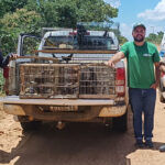 Líder de grupo que capturava pássaros silvestres é preso com cerca de 360 aves e multado em mais de R$ 620 mil em Minas