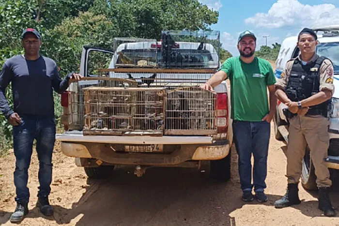 Líder de grupo que capturava pássaros silvestres é preso com cerca de 360 aves e multado em mais de R$ 620 mil em Minas