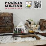 Policia Ambiental apreende aves e armas em propriedade no interior de Minas