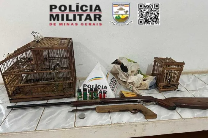 Policia Ambiental apreende aves e armas em propriedade no interior de Minas